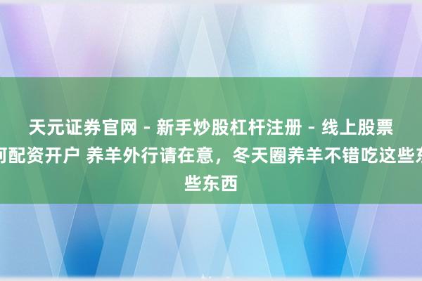 天元证券官网 - 新手炒股杠杆注册 - 线上股票如何配资开户 养羊外行请在意，冬天圈养羊不错吃这些东西