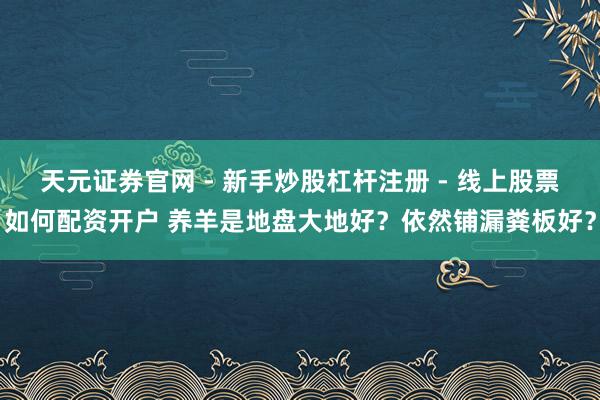 天元证券官网 - 新手炒股杠杆注册 - 线上股票如何配资开户 养羊是地盘大地好？依然铺漏粪板好？