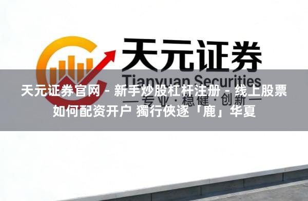 天元证券官网 - 新手炒股杠杆注册 - 线上股票如何配资开户 獨行俠逐「鹿」华夏